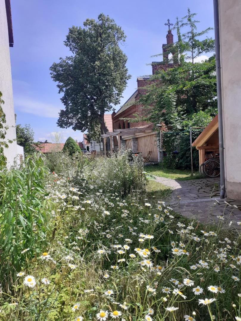 Ferienwohnung Martinsblick Angermunde Buitenkant foto